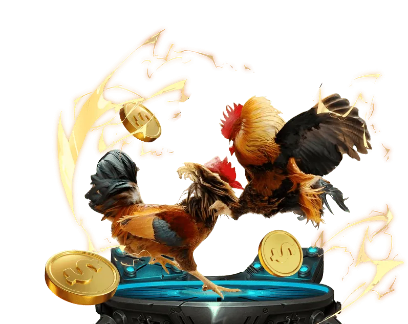 Hình ảnh các chương trình khuyến mãi và ưu đãi